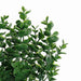 3 pcs 13" tall Eucalyptus Artificial Greenery Bushes - Dark Green