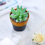 3 pcs 3" tall Metallic Round Plastic Flower Plant Pots