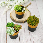 3 pcs 3" tall Metallic Round Plastic Flower Plant Pots