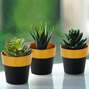 3 pcs 3" tall Metallic Round Plastic Flower Plant Pots