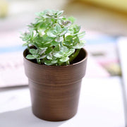 3 pcs 3" tall Metallic Round Plastic Flower Plant Pots