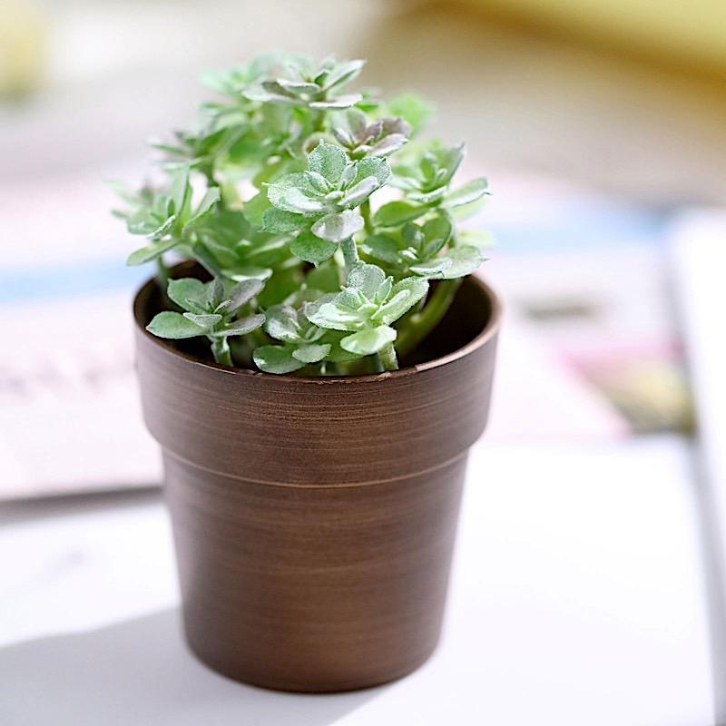 3 pcs 3" tall Metallic Round Plastic Flower Plant Pots