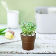 3 pcs 3" tall Metallic Round Plastic Flower Plant Pots
