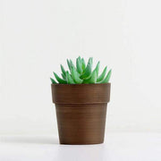 3 pcs 3" tall Metallic Round Plastic Flower Plant Pots