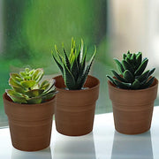 3 pcs 3" tall Metallic Round Plastic Flower Plant Pots