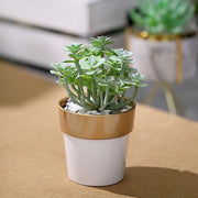 3 pcs 3" tall Metallic Round Plastic Flower Plant Pots