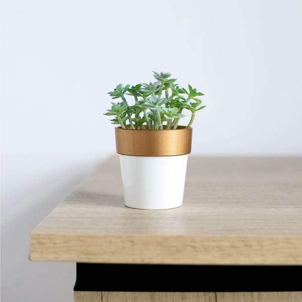 3 pcs 3" tall Metallic Round Plastic Flower Plant Pots