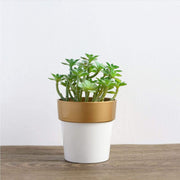 3 pcs 3" tall Metallic Round Plastic Flower Plant Pots