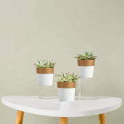 3 pcs 3" tall Metallic Round Plastic Flower Plant Pots