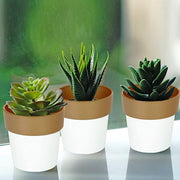 3 pcs 3" tall Metallic Round Plastic Flower Plant Pots
