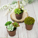 3 pcs 3" tall Metallic Round Plastic Flower Plant Pots