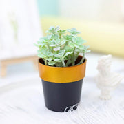 3 pcs 3" tall Metallic Round Plastic Flower Plant Pots