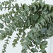 3 pcs 30" Artificial Eucalyptus Leaves Sprays Stems - Frosted Green ARTI_GRN_05_01