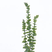 3 pcs 30" Artificial Eucalyptus Leaves Sprays Stems - Frosted Green ARTI_GRN_05_01