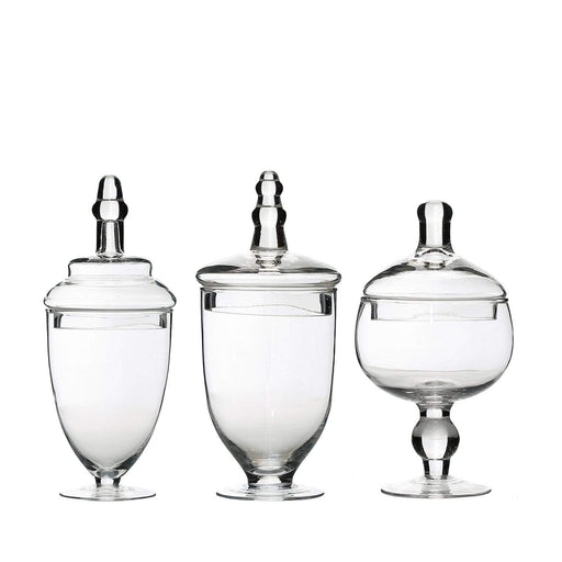 2 pcs 10 12 tall Glass Apothecary Jars Containers with Lids - Clear