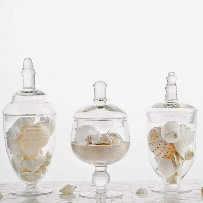 Glass Apothecary Jars with Lids, Decorative Display Canisters