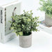3 pcs 9" tall Assorted Mini Potted Artificial Plants - Frosted Green and Gray ARTI_GRN_PT001_ASST