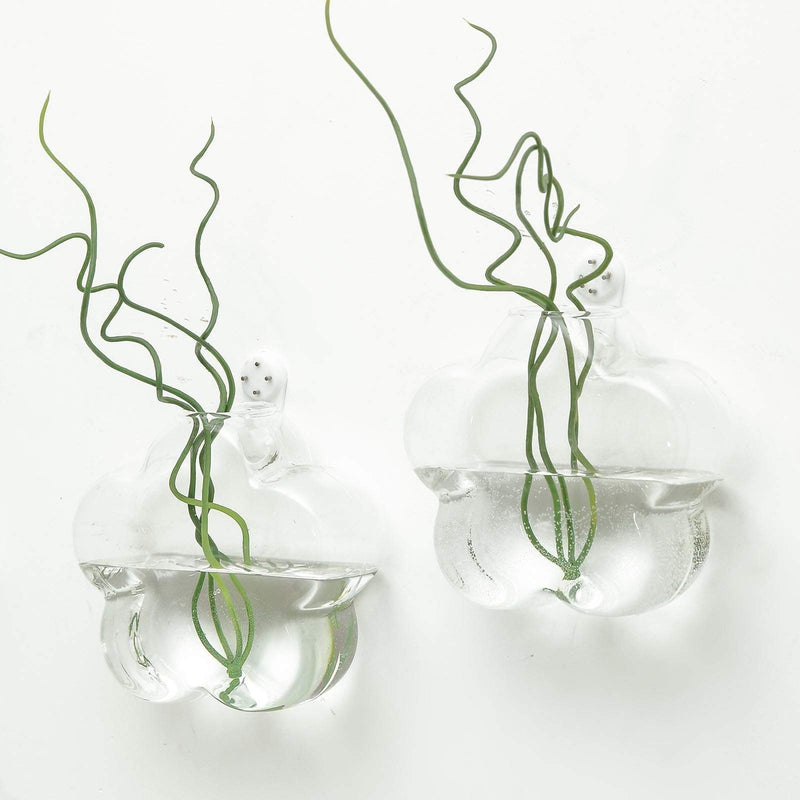 3 pcs Flower Glass Wall Terrariums Vases - Clear GLAS_VASE003_FLO_CLR