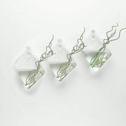 3 pcs Rhombus Glass Wall Terrariums Vases - Clear GLAS_VASE003_DIA_CLR