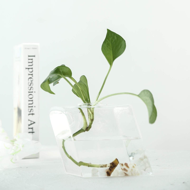 3 pcs Rhombus Glass Wall Terrariums Vases - Clear GLAS_VASE003_DIA_CLR