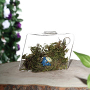 3 pcs Rhombus Glass Wall Terrariums Vases - Clear GLAS_VASE003_DIA_CLR