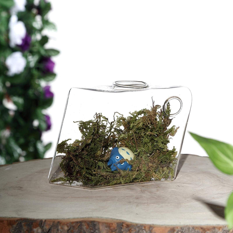 3 pcs Rhombus Glass Wall Terrariums Vases - Clear GLAS_VASE003_DIA_CLR