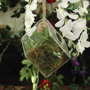 3 pcs Rhombus Glass Wall Terrariums Vases - Clear GLAS_VASE003_DIA_CLR