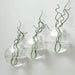 3 pcs Round Glass Wall Terrariums Vases - Clear GLAS_VASE003_RND5_CLR