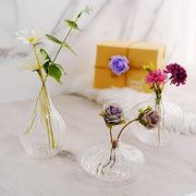 3 pcs Round Ribbed Glass Flower Vases Centerpieces