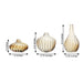 3 pcs Round Ribbed Glass Flower Vases Centerpieces