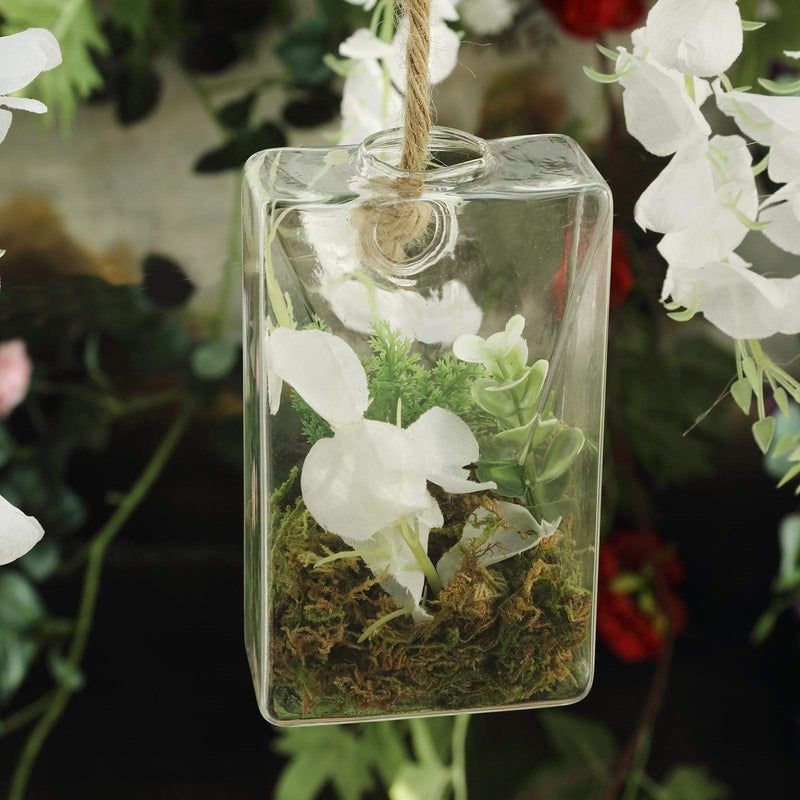 3 pcs Trapezoid Glass Wall Terrariums Vases - Clear GLAS_VASE003_TPZ_CLR