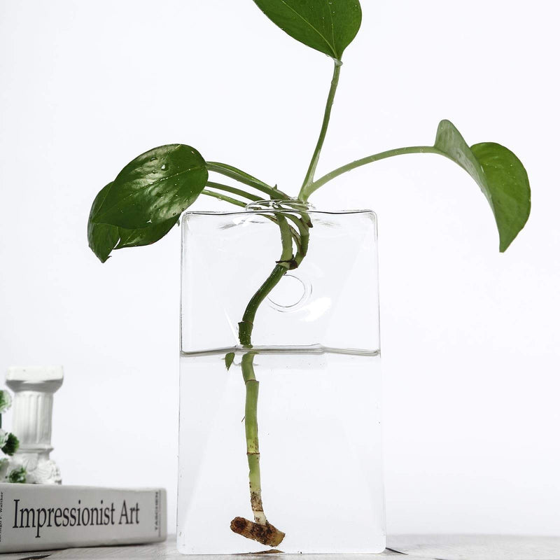 3 pcs Trapezoid Glass Wall Terrariums Vases - Clear GLAS_VASE003_TPZ_CLR