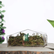 3 pcs Trapezoid Glass Wall Terrariums Vases - Clear GLAS_VASE003_TPZ_CLR