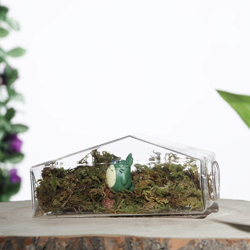 3 pcs Trapezoid Glass Wall Terrariums Vases - Clear GLAS_VASE003_TPZ_CLR