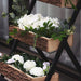 3 Tier Metal Stand with Natural Wood Planters Holders - Black and Brown FURN_WOD_RCK001