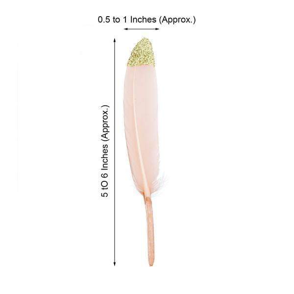 30 pcs Glittered Tip Natural Turkey Feathers