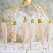 30 pcs Glittered Tip Natural Turkey Feathers