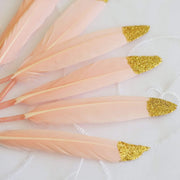 30 pcs Glittered Tip Natural Turkey Feathers