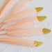 30 pcs Glittered Tip Natural Turkey Feathers