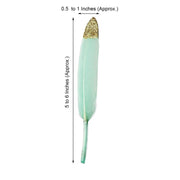 30 pcs Glittered Tip Natural Turkey Feathers