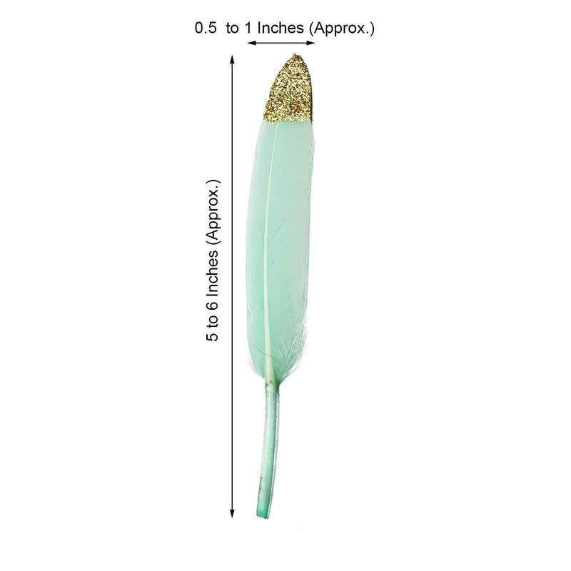 30 pcs Glittered Tip Natural Turkey Feathers