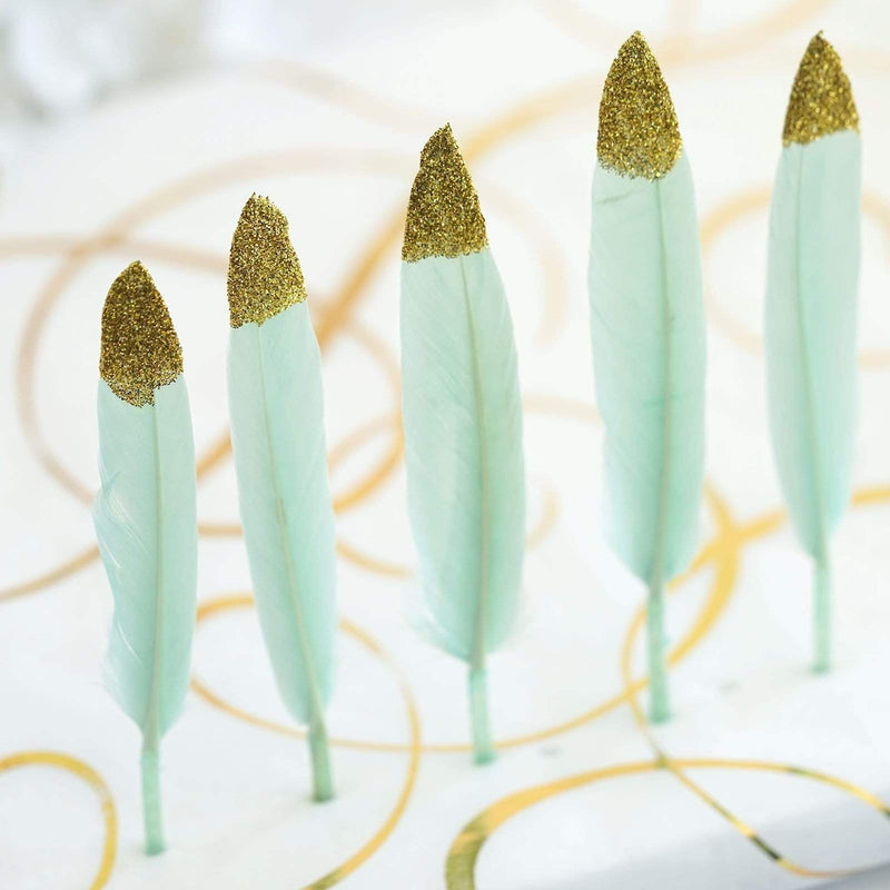 30 pcs Glittered Tip Natural Turkey Feathers