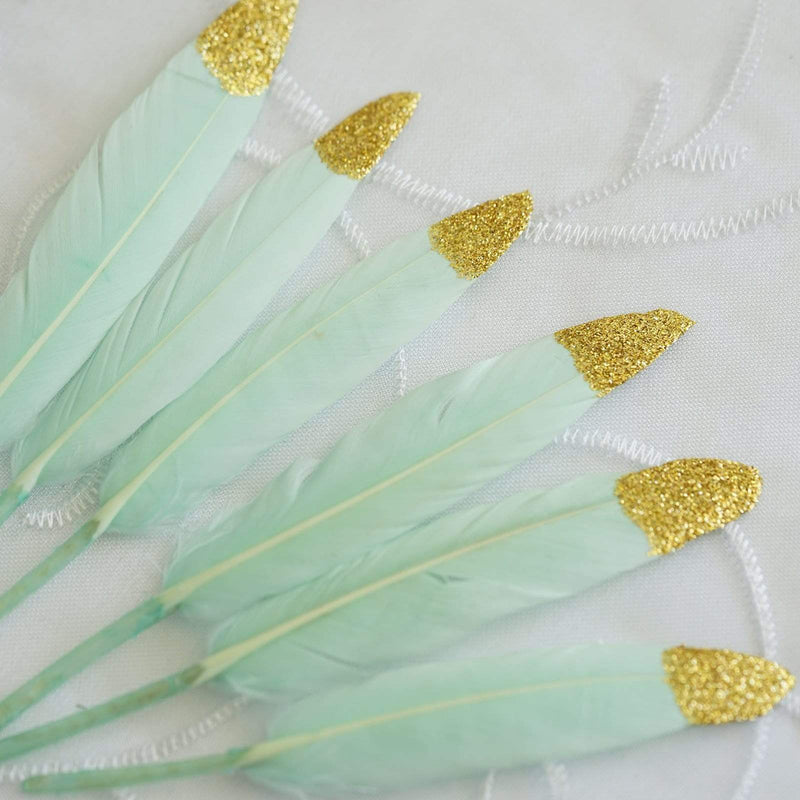 30 pcs Glittered Tip Natural Turkey Feathers