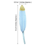 30 pcs Glittered Tip Natural Turkey Feathers