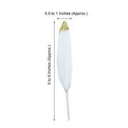 30 pcs Glittered Tip Natural Turkey Feathers