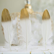 30 pcs Metallic Gold Tip Natural Goose Feathers