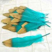 30 pcs Metallic Gold Tip Natural Goose Feathers