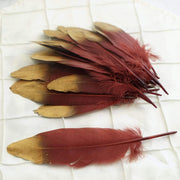 30 pcs Metallic Gold Tip Natural Goose Feathers