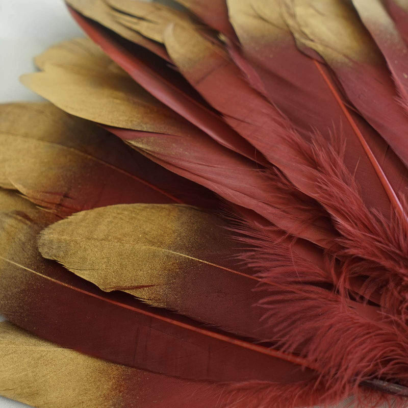 30 pcs Metallic Gold Tip Natural Goose Feathers