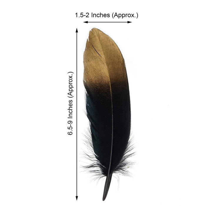 30 pcs Metallic Gold Tip Natural Goose Feathers